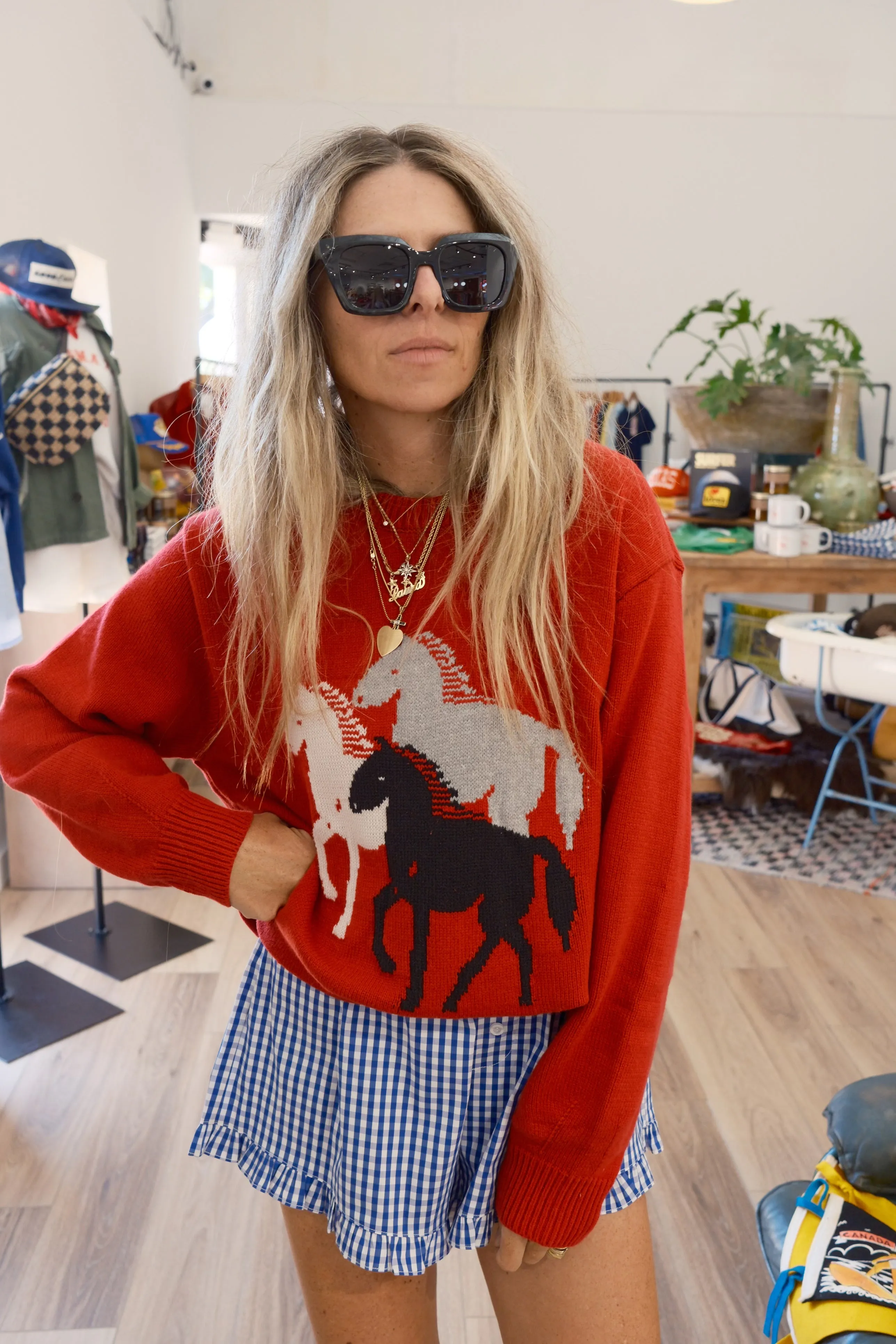 The Horse Sweater