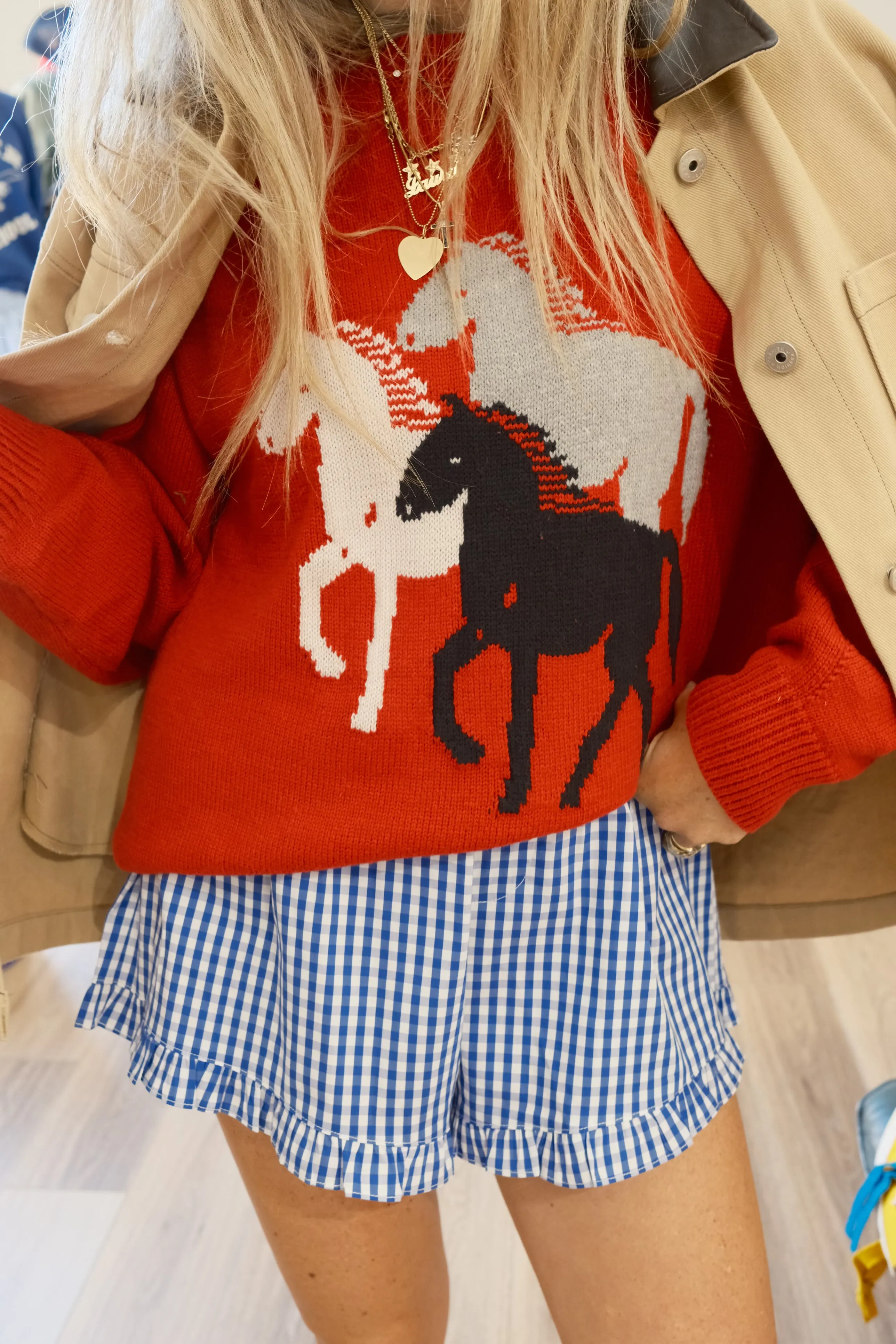 The Horse Sweater