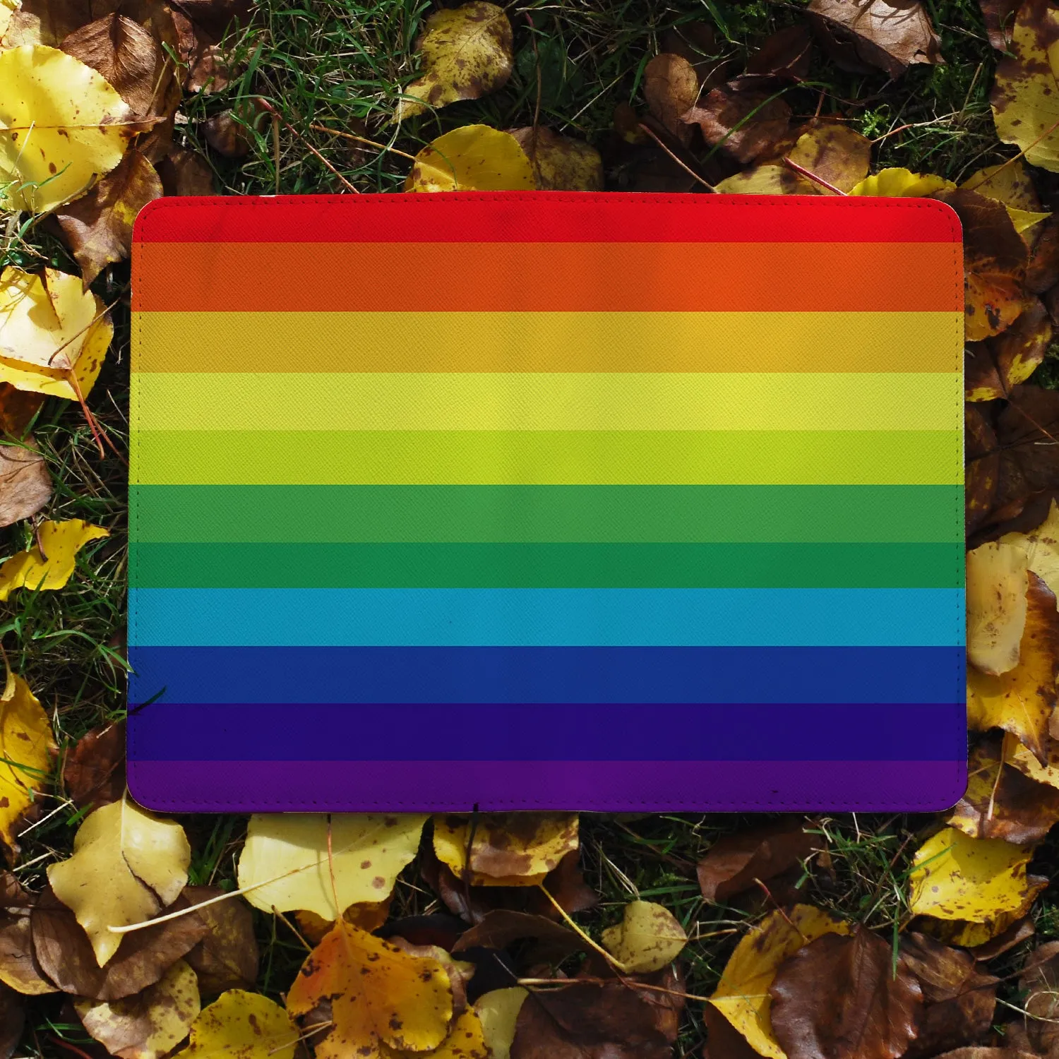 Travel Wallet - Rainbow